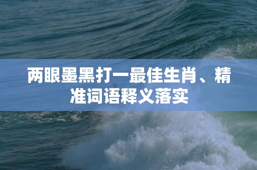 两眼墨黑打一最佳生肖、精准词语释义落实