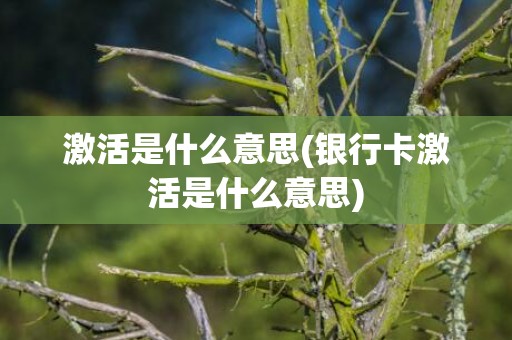 激活是什么意思(银行卡激活是什么意思)