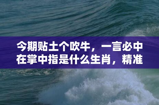 今期贴土个吹牛，一言必中在掌中指是什么生肖，精准词语释义落实