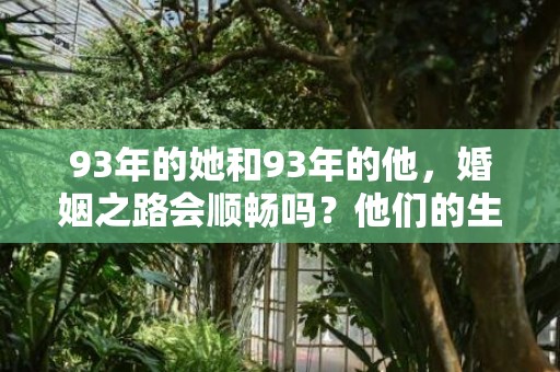 93年的她和93年的他，婚姻之路会顺畅吗？他们的生活中，是否充满了争吵与分歧？