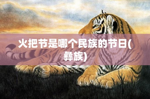 火把节是哪个民族的节日(彝族)
