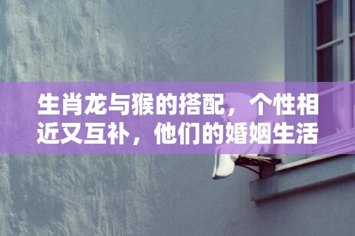 生肖龙与猴的搭配，个性相近又互补，他们的婚姻生活如何？