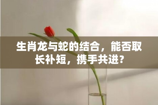 生肖龙与蛇的结合，能否取长补短，携手共进？