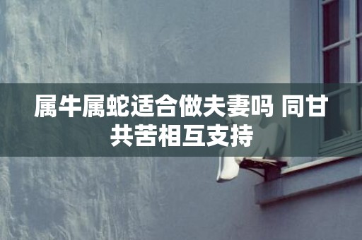 属牛属蛇适合做夫妻吗 同甘共苦相互支持