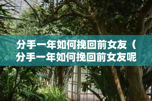 分手一年如何挽回前女友（分手一年如何挽回前女友呢）