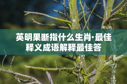 英明果断指什么生肖·最佳释义成语解释最佳答