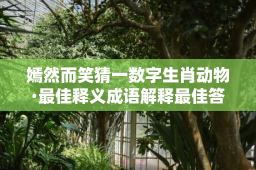 嫣然而笑猜一数字生肖动物·最佳释义成语解释最佳答