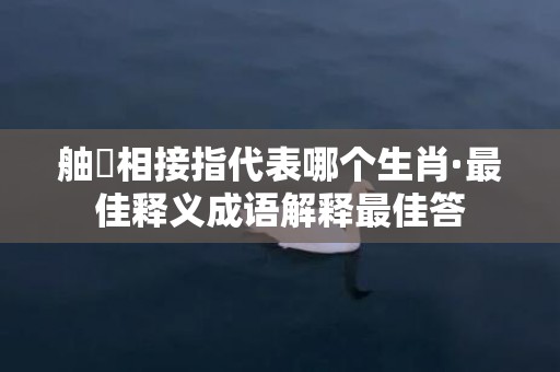 舳舮相接指代表哪个生肖·最佳释义成语解释最佳答