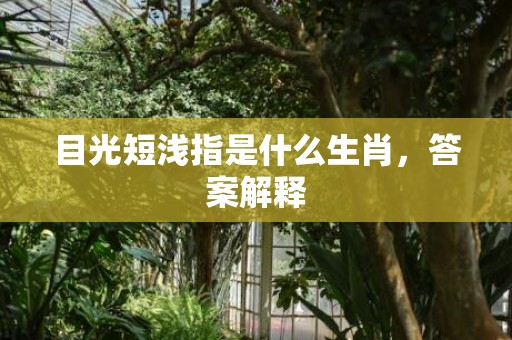 目光短浅指是什么生肖，答案解释