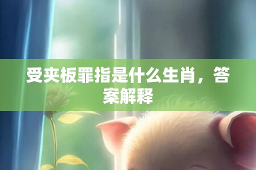 受夹板罪指是什么生肖，答案解释