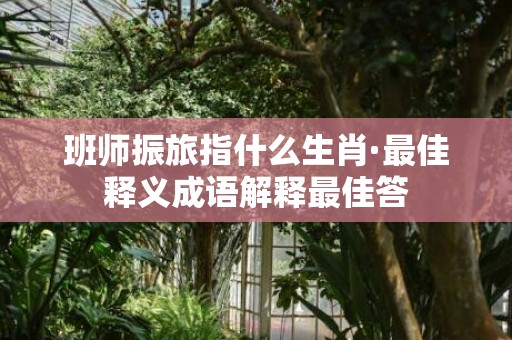 班师振旅指什么生肖·最佳释义成语解释最佳答