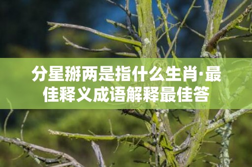 分星掰两是指什么生肖·最佳释义成语解释最佳答