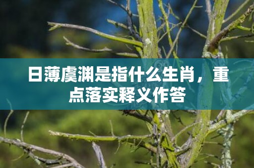 日薄虞渊是指什么生肖，重点落实释义作答