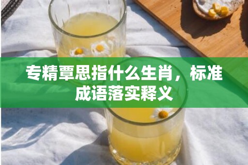 专精覃思指什么生肖，标准成语落实释义