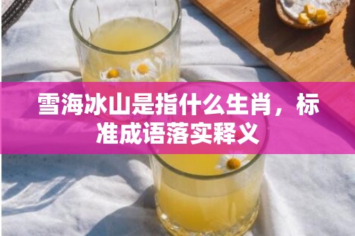 雪海冰山是指什么生肖，标准成语落实释义