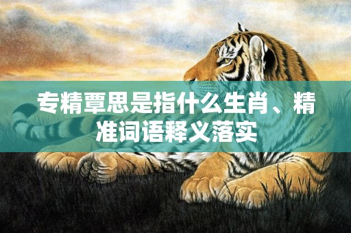 专精覃思是指什么生肖、精准词语释义落实