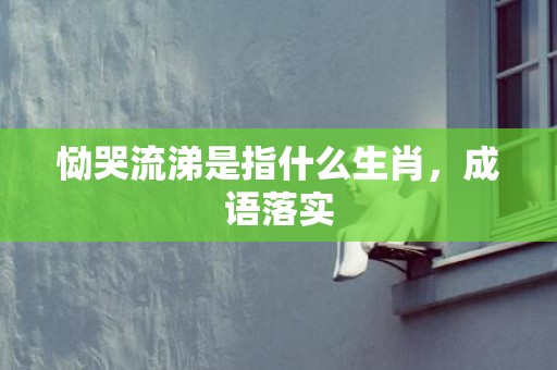 恸哭流涕是指什么生肖，成语落实