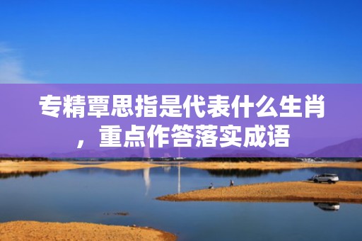 专精覃思指是代表什么生肖，重点作答落实成语