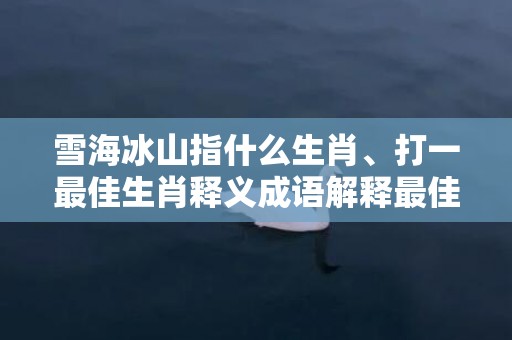 雪海冰山指什么生肖、打一最佳生肖释义成语解释最佳答