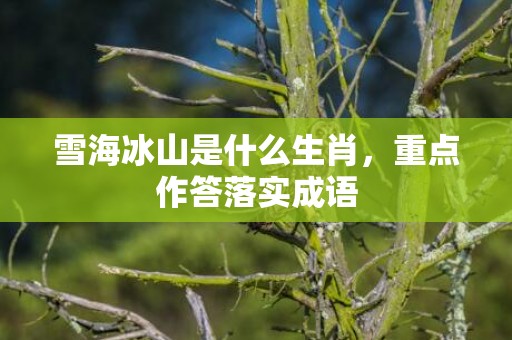 雪海冰山是什么生肖，重点作答落实成语