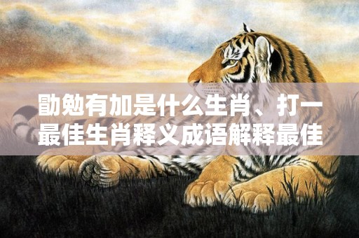 勖勉有加是什么生肖、打一最佳生肖释义成语解释最佳答