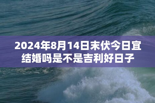 2024年8月14日末伏今日宜结婚吗是不是吉利好日子