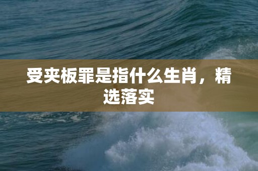受夹板罪是指什么生肖，精选落实