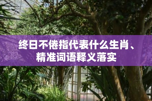 终日不倦指代表什么生肖、精准词语释义落实