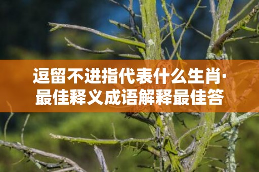 逗留不进指代表什么生肖·最佳释义成语解释最佳答