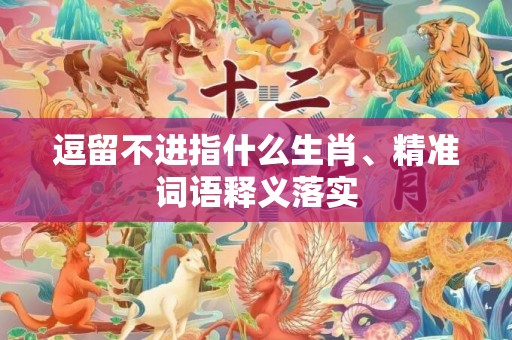 逗留不进指什么生肖、精准词语释义落实