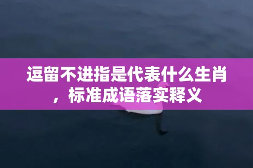 逗留不进指是代表什么生肖，标准成语落实释义