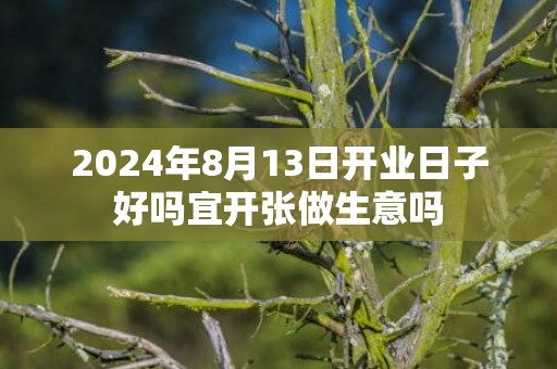 2024年8月13日开业日子好吗宜开张做生意吗
