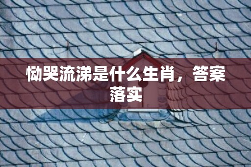 恸哭流涕是什么生肖，答案落实