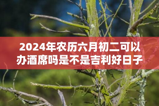 2024年农历六月初二可以办酒席吗是不是吉利好日子