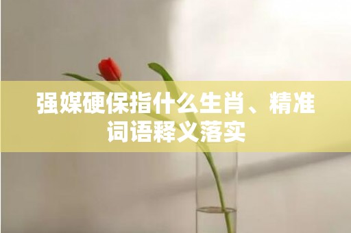 强媒硬保指什么生肖、精准词语释义落实