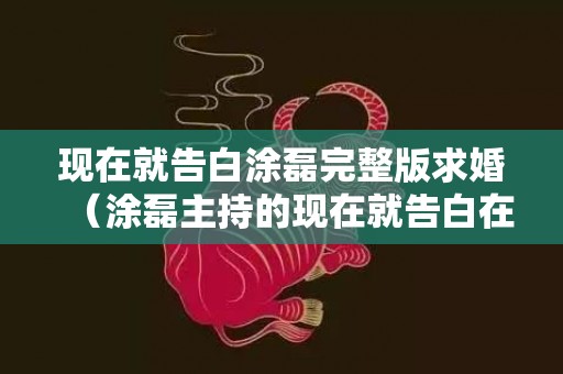 现在就告白涂磊完整版求婚（涂磊主持的现在就告白在哪个卫视）