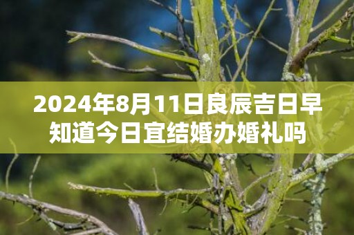 2024年8月11日良辰吉日早知道今日宜结婚办婚礼吗