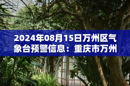 2024年08月15日万州区气象台预警信息：重庆市万州区发布高温橙色预警