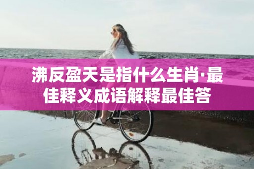 沸反盈天是指什么生肖·最佳释义成语解释最佳答