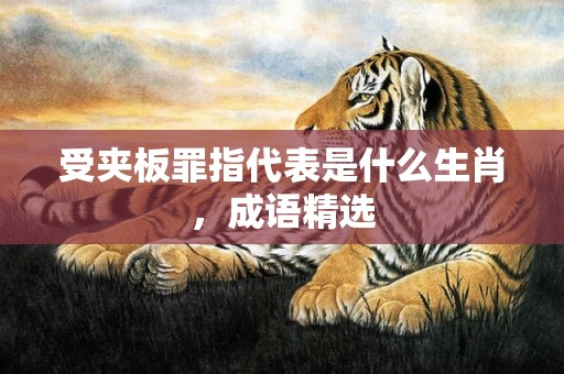 受夹板罪指代表是什么生肖，成语精选