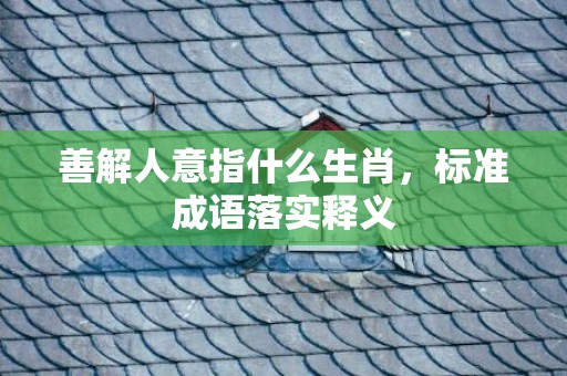 善解人意指什么生肖，标准成语落实释义