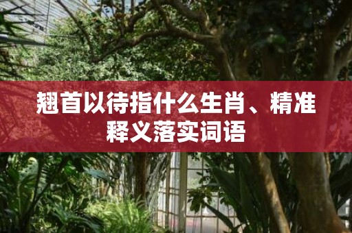 翘首以待指什么生肖、精准释义落实词语