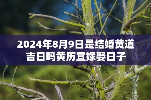 2024年8月9日是结婚黄道吉日吗黄历宜嫁娶日子