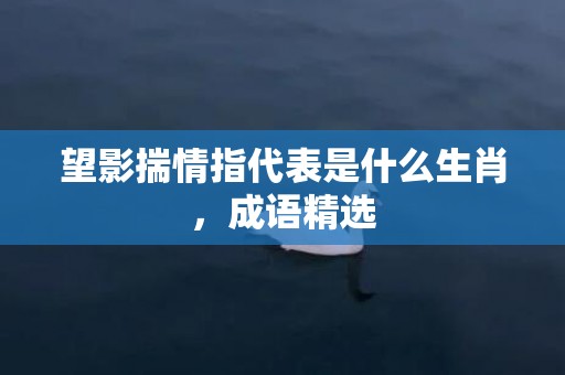 望影揣情指代表是什么生肖，成语精选