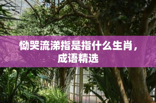 恸哭流涕指是指什么生肖，成语精选