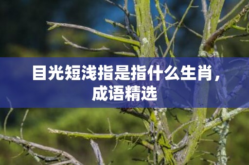 目光短浅指是指什么生肖，成语精选