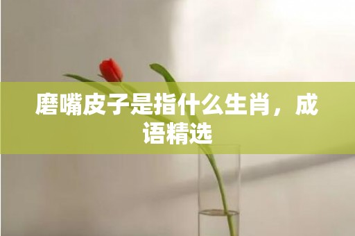 磨嘴皮子是指什么生肖，成语精选
