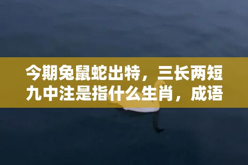今期兔鼠蛇出特，三长两短九中注是指什么生肖，成语精选