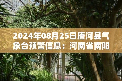 2024年08月25日唐河县气象台预警信息：河南省南阳市唐河县发布高温橙色预警