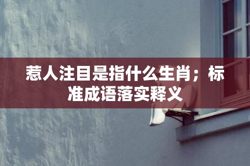 惹人注目是指什么生肖；标准成语落实释义